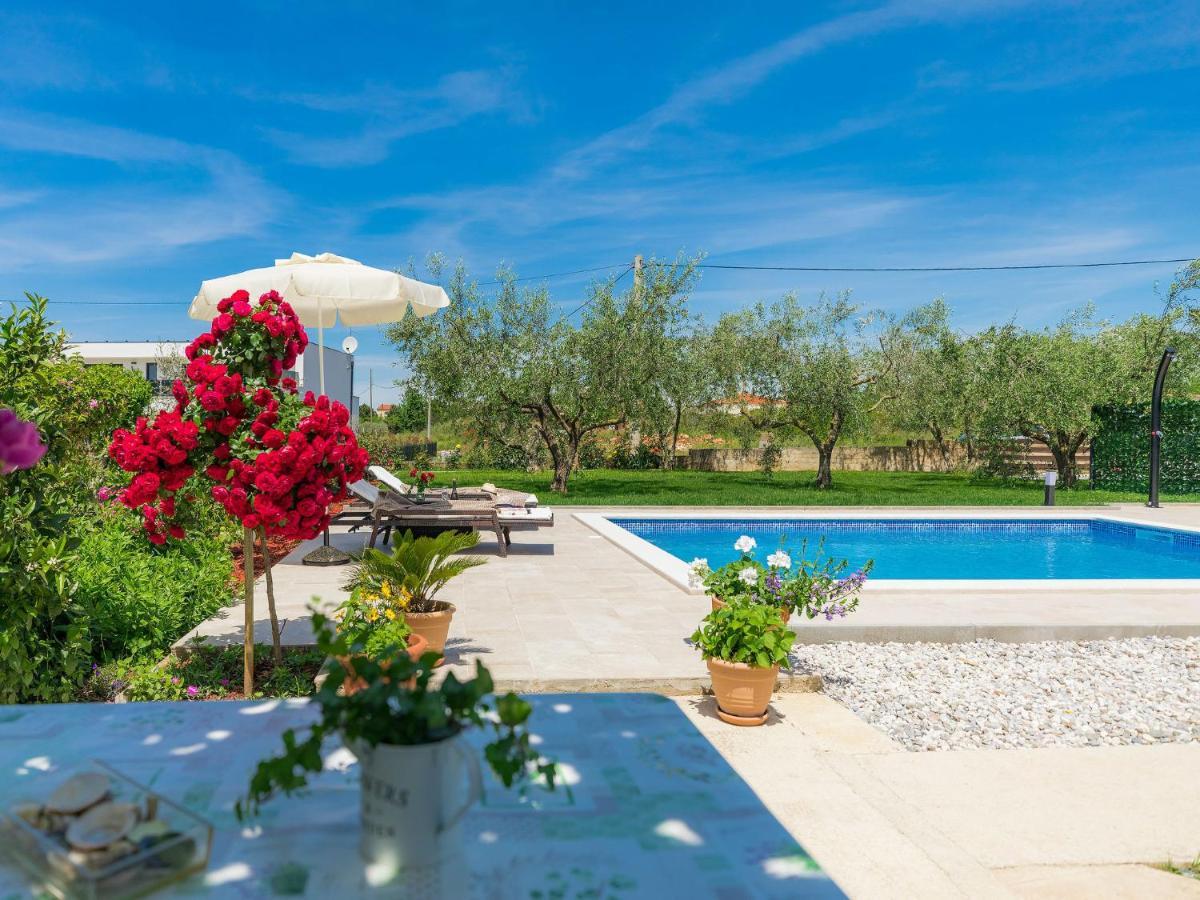 Apartment Chiara By Interhome Novigrad Istria Exterior foto